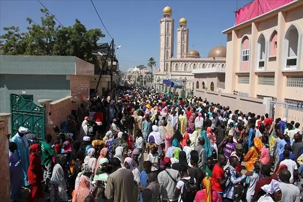 Photo: senego.com Serigne Cheikh Ahmed Tidiane Sy Al Amine transforme le manne Gamou en emplois