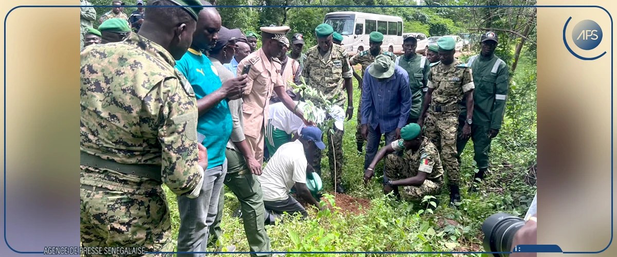 1colonelmajorbabacardione1