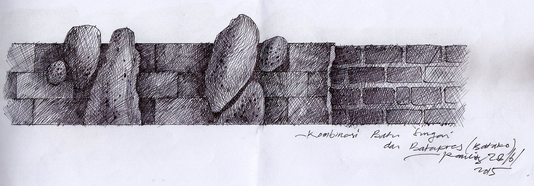 padas datar dan muncul-coral