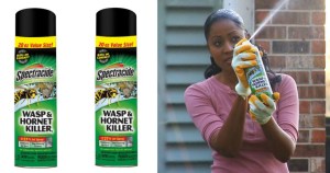 Wasp spray for safety