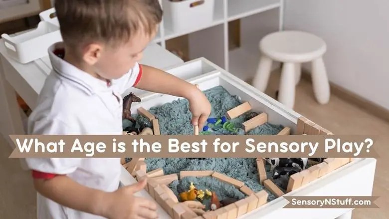 image3 - Sensory Play & Learning