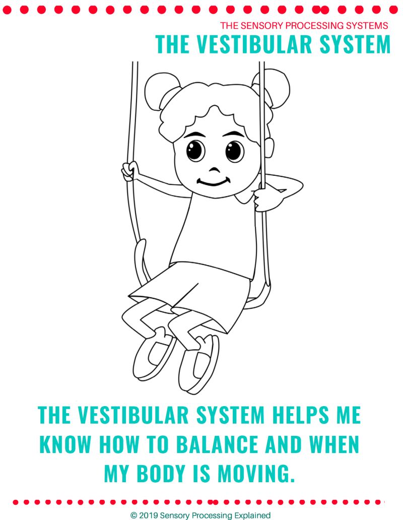 Sensory Processing Explained Teaching Resources Teachers Pay Teachers - Creative Full HD Geometric Images | Free Download