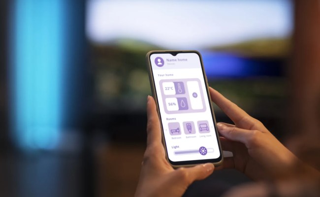 Why Your Business Needs A Mobile Optimized Website In 2024 - SentieroTech