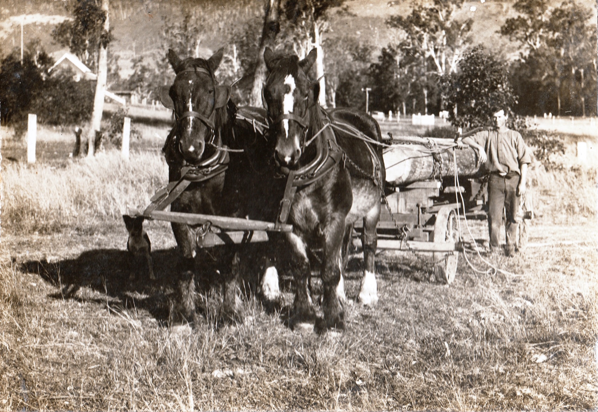 Woodford’s historical reunion