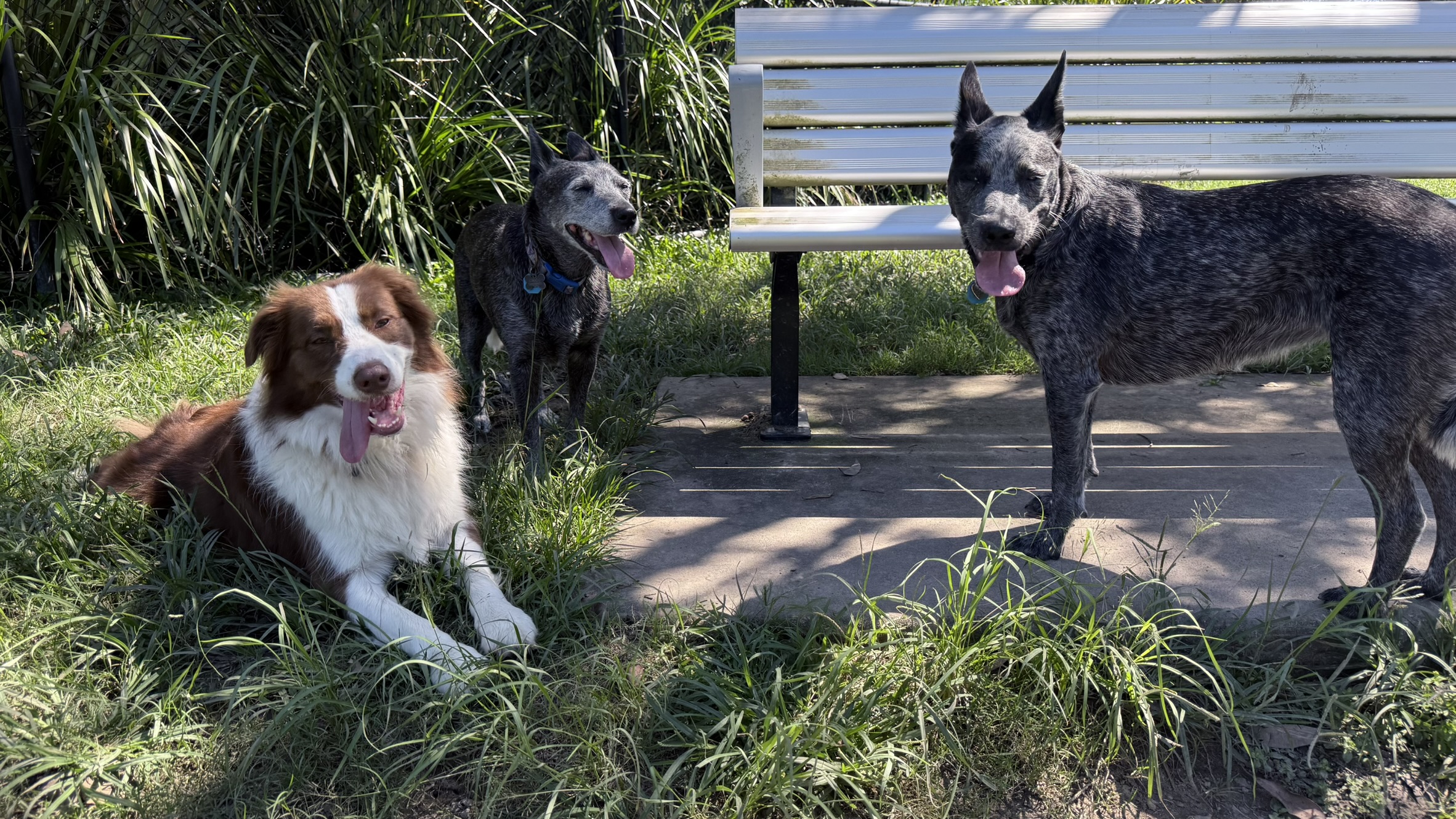 $500K boost for Lowood and Fernvale