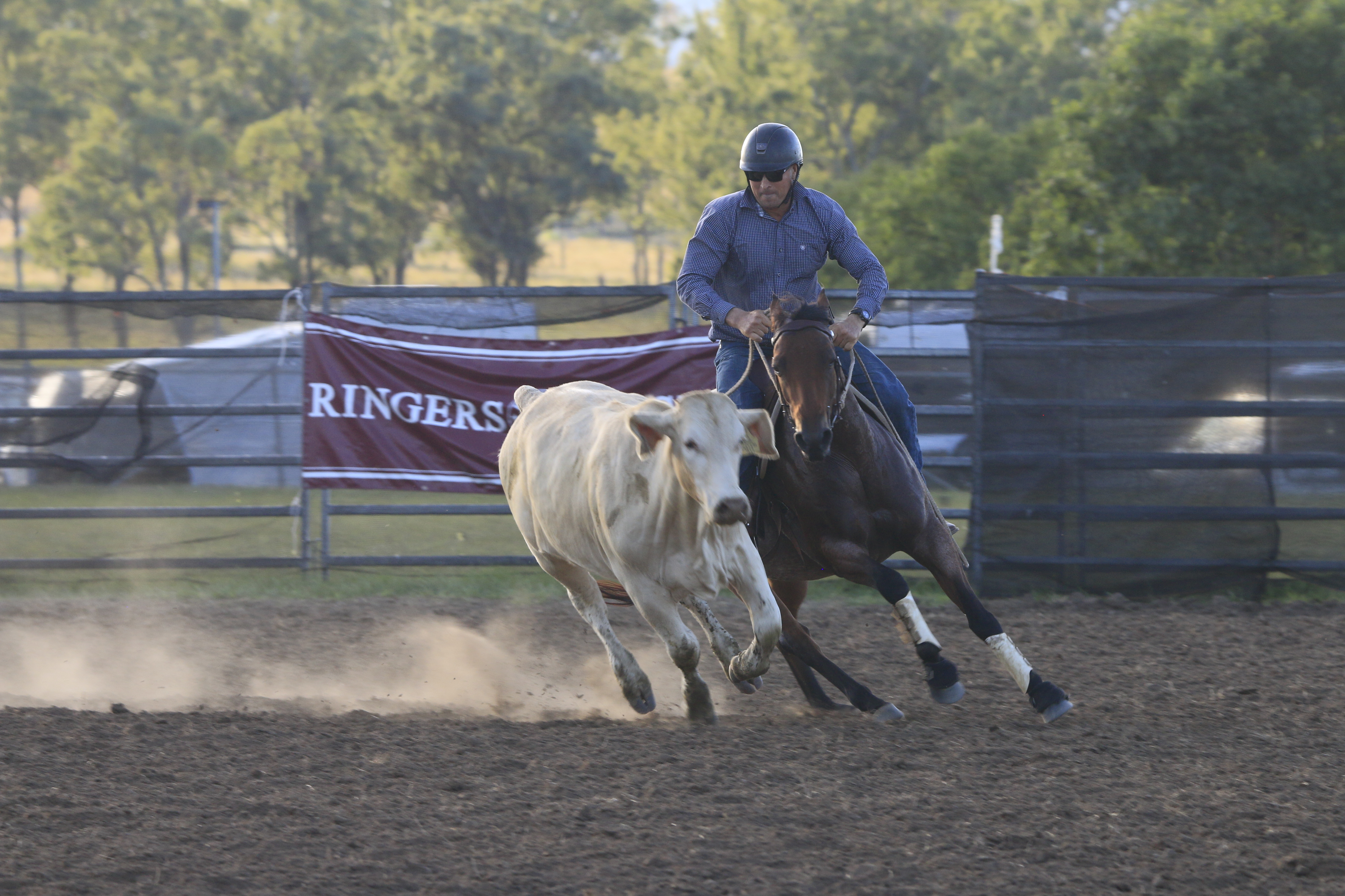 Toogoolawah saddles up for big campdraft weekend