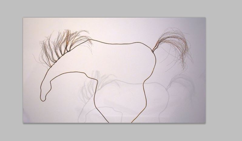 Artists wanted for ‘Year of the Horse’