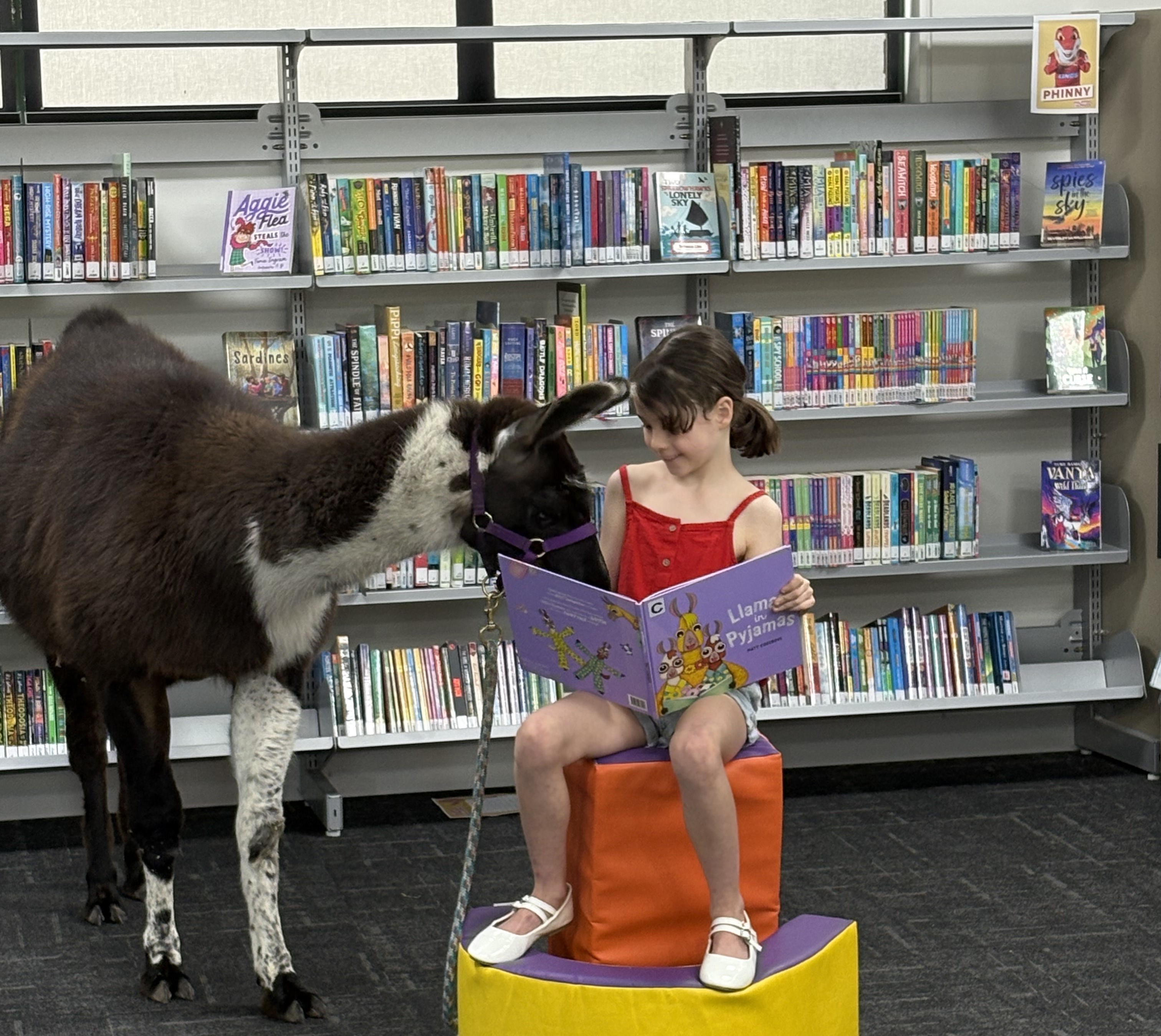 Moreton ready for school holidays