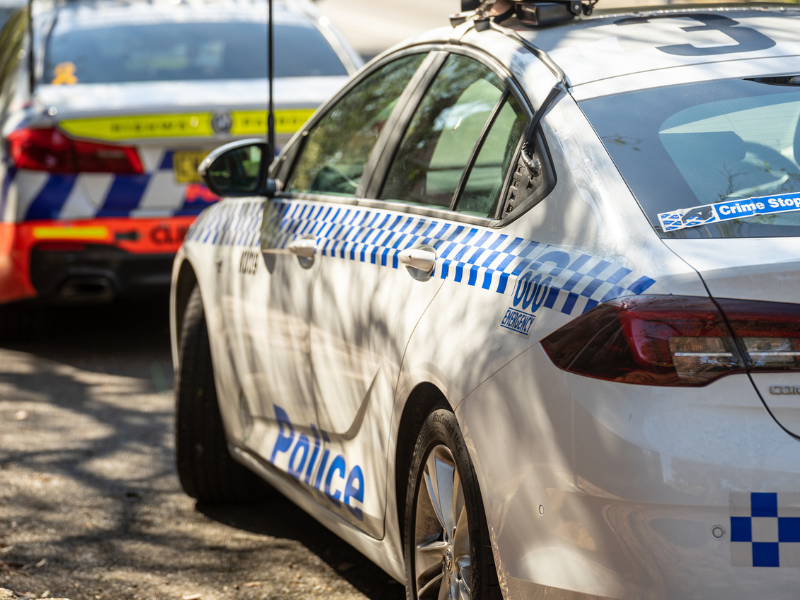 Police ask for help in wilful damage case