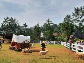 cimory diaryland puncak bogor domba