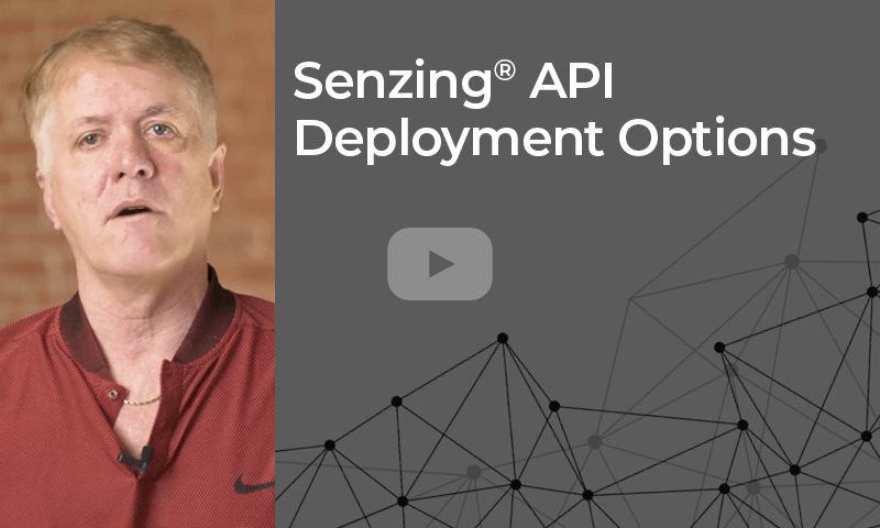 Senzing sdk deployment options