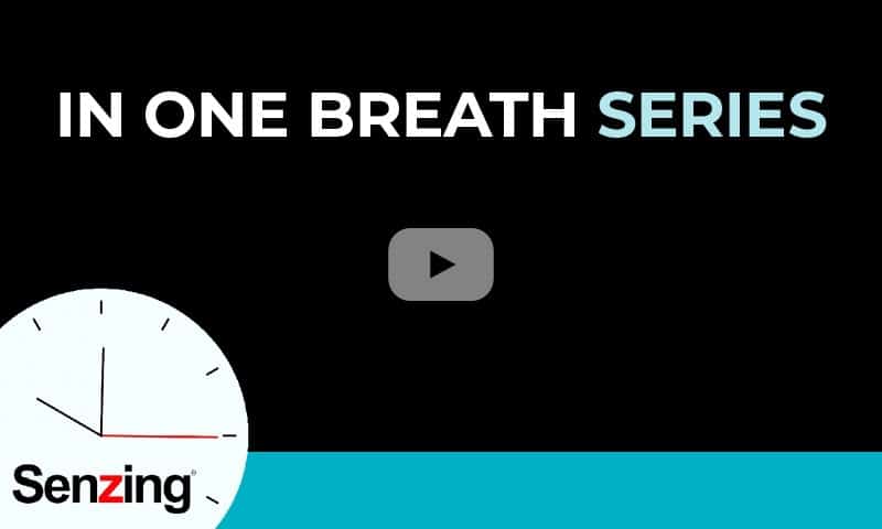 Senzing sdk entity resolution in one breath video series