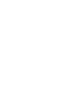 Senzing knowledge graph gradient flow