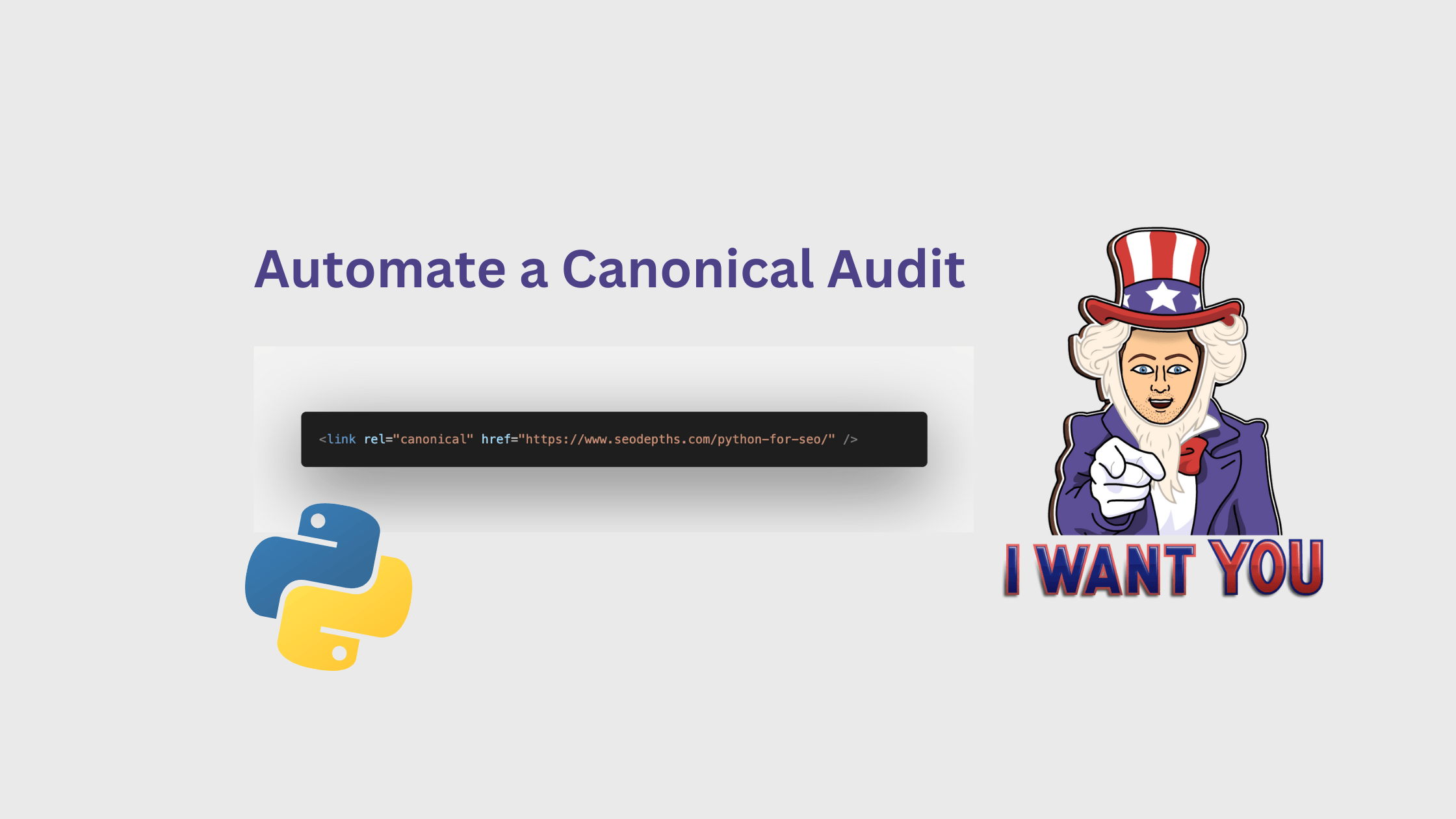🐍Running a Canonical Audit in Python