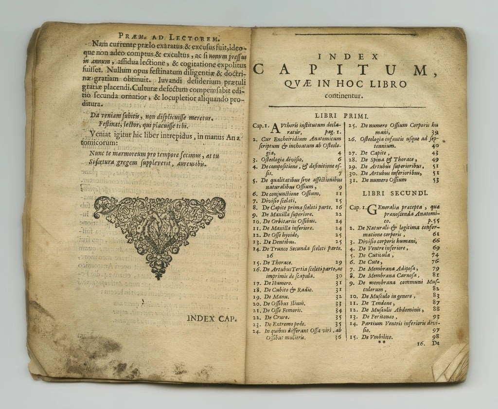 référence article