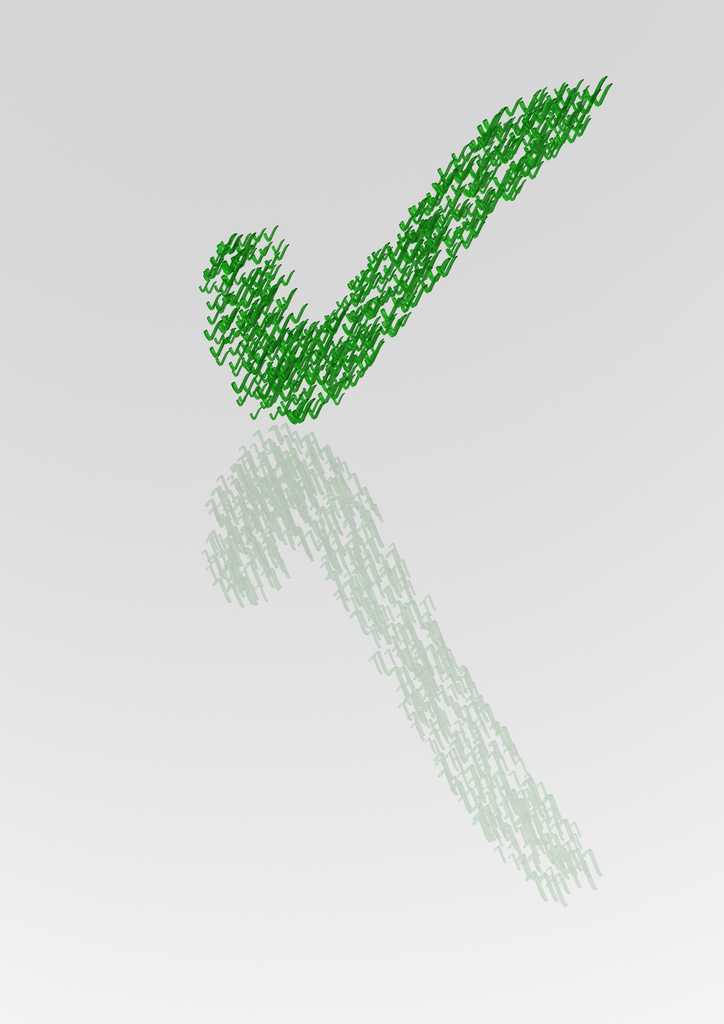 seorch ranking check