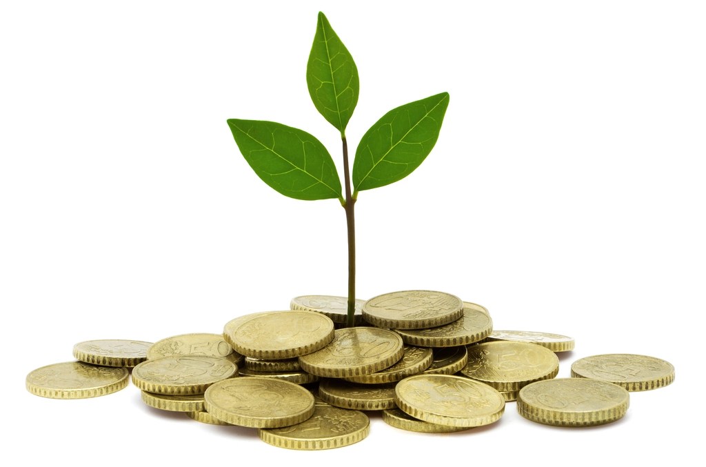 optimisation de referencement