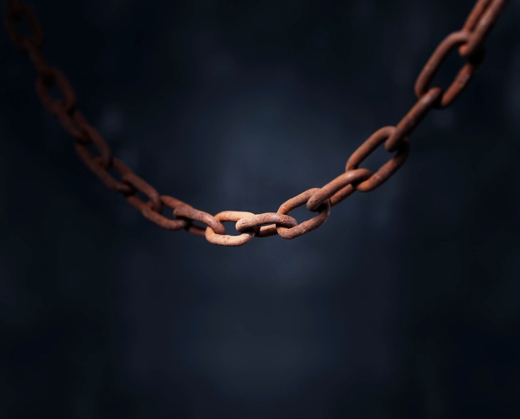 link builder