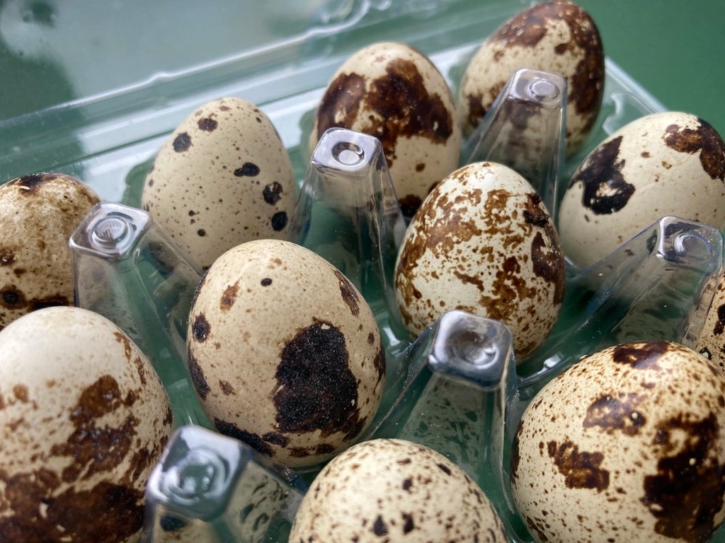 boost google ranking