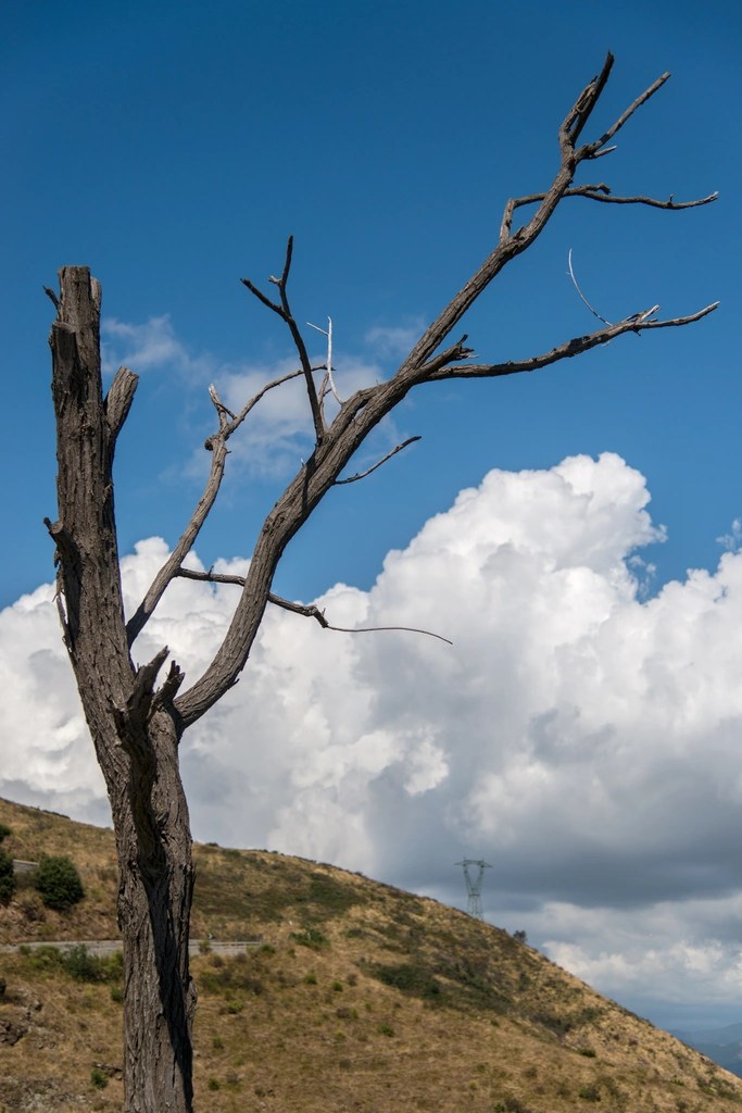 gratis link plaatsen zonder backlink