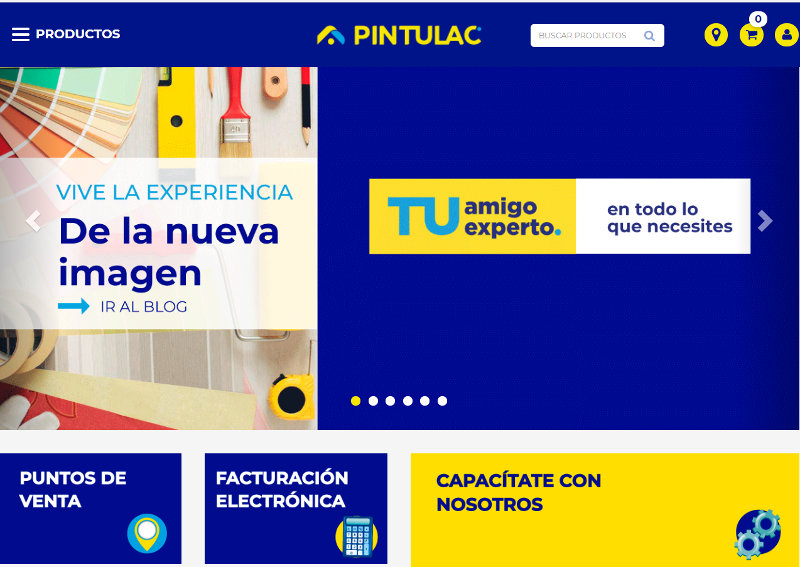 Sitio web Pintulac.