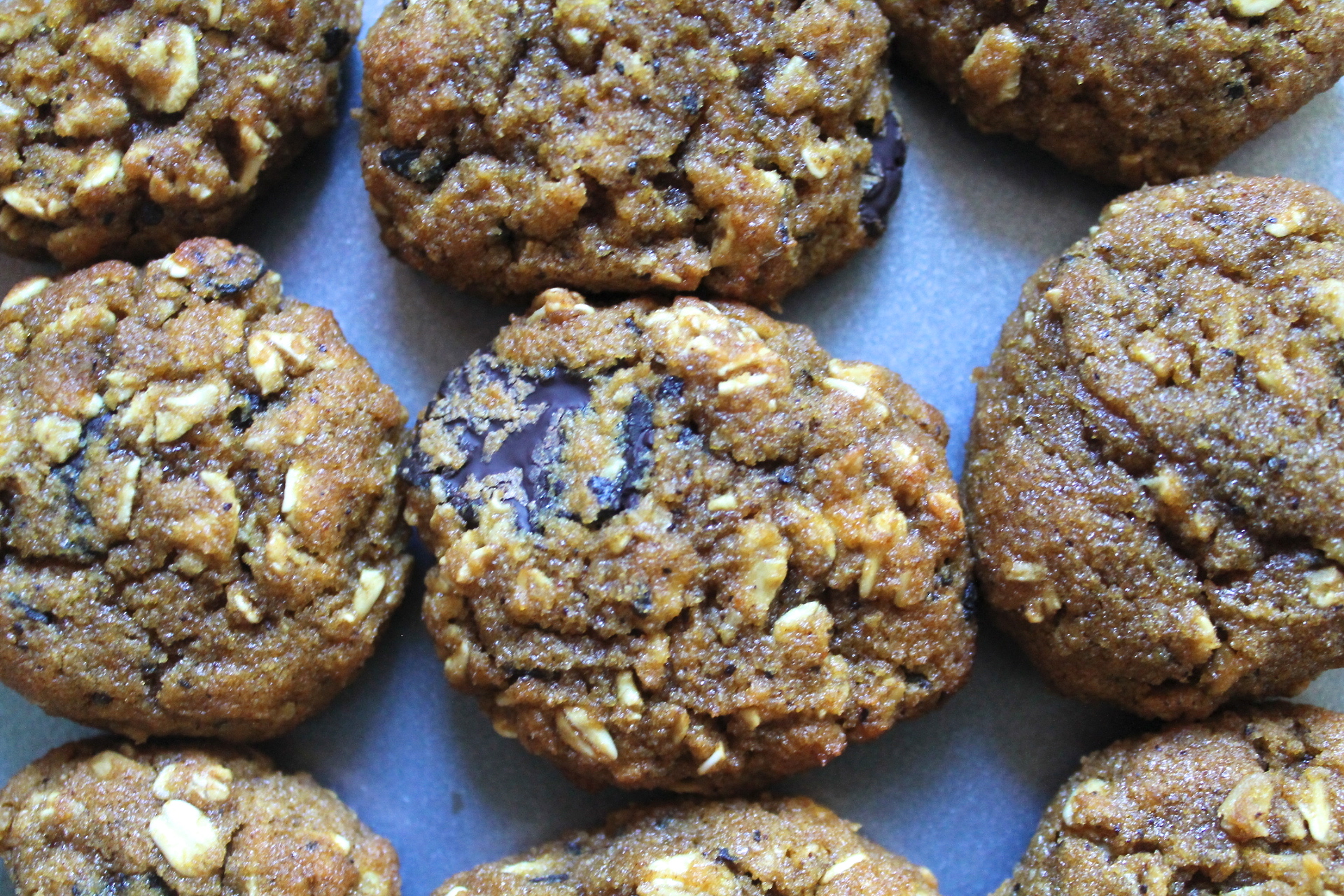 pumpkin oatmeal chip cookies