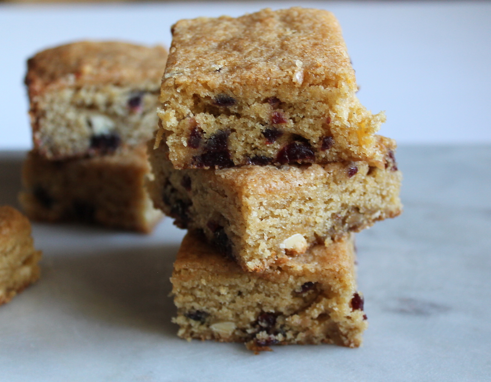 cranberry white chocolate blondies
