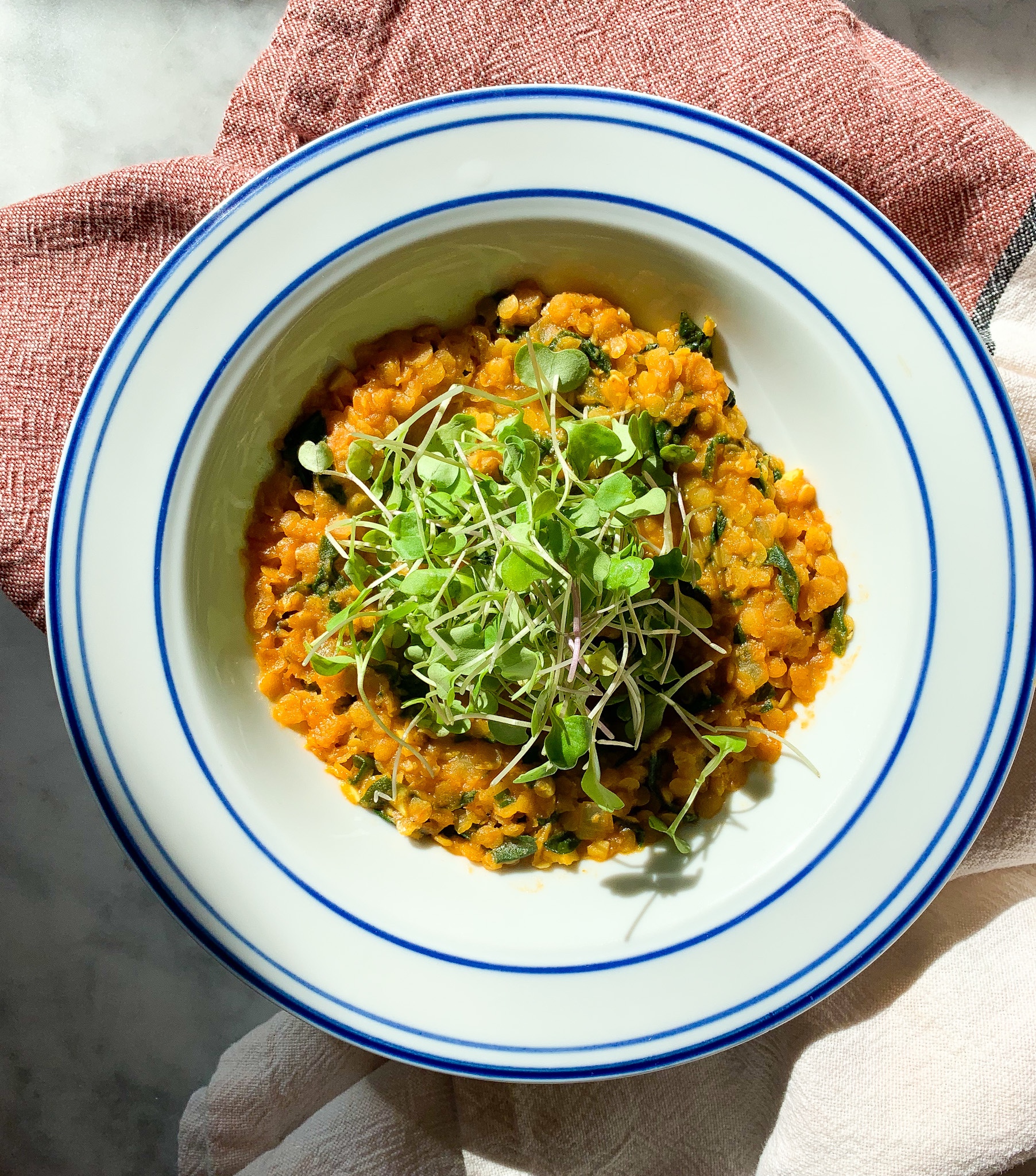 curried lentils with spinach