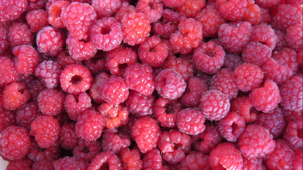 Raspberry
