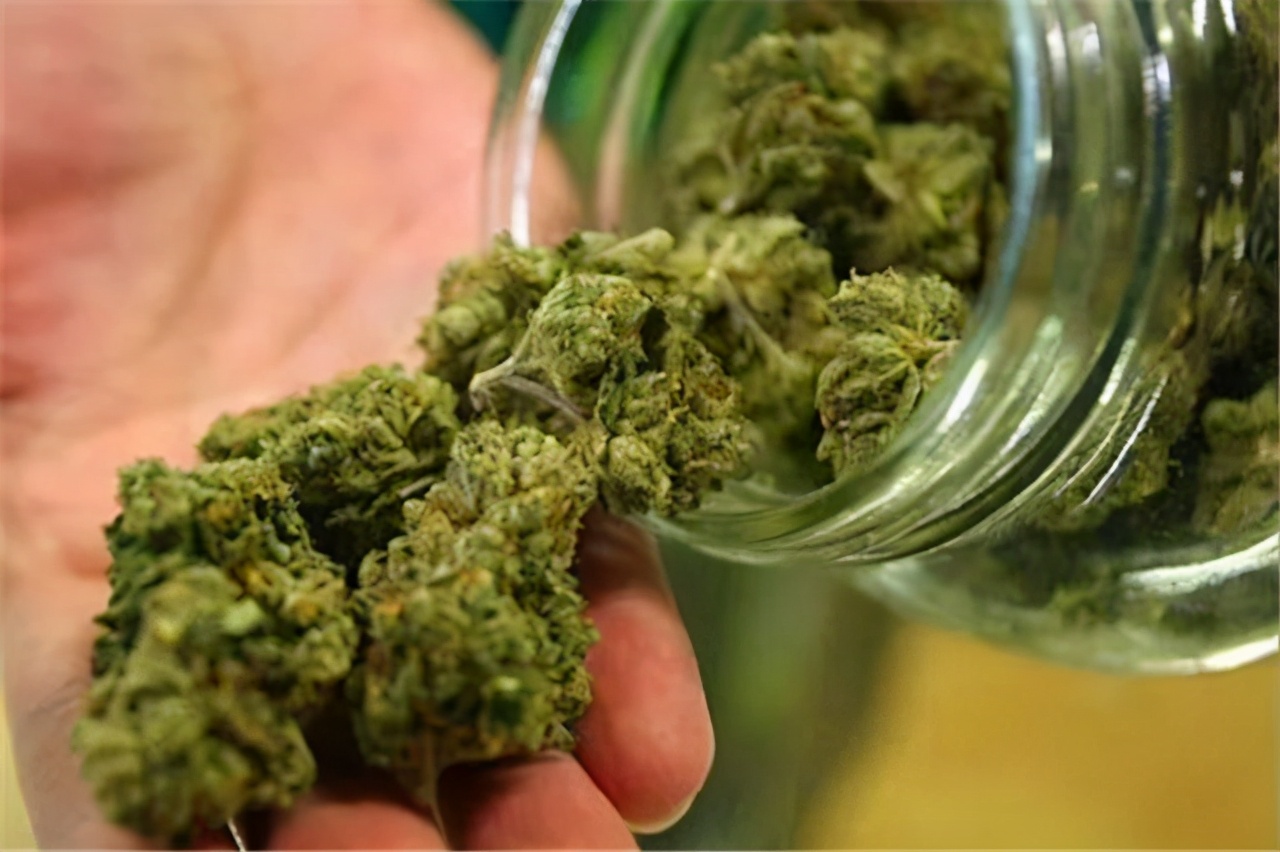 加拿大：一个被大麻控制的国家| 新华侨网