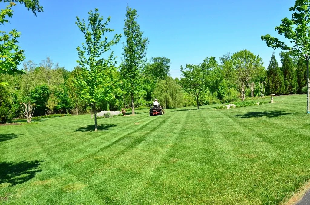 Ride-on mower cutting stripes into a large maintained lawn