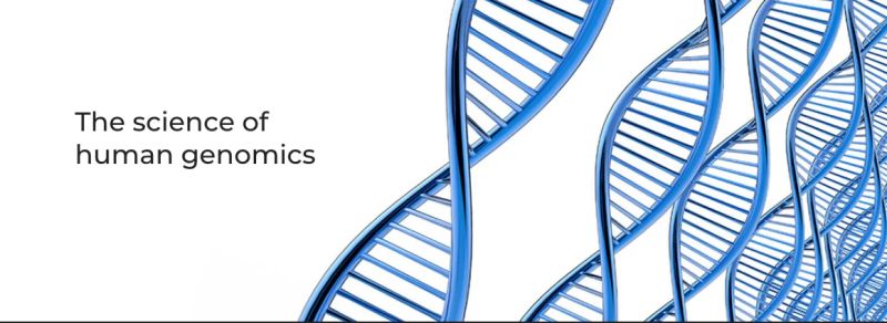 Carrier Screening Sequenca Genetics - Modern Geometric Design - Mobile