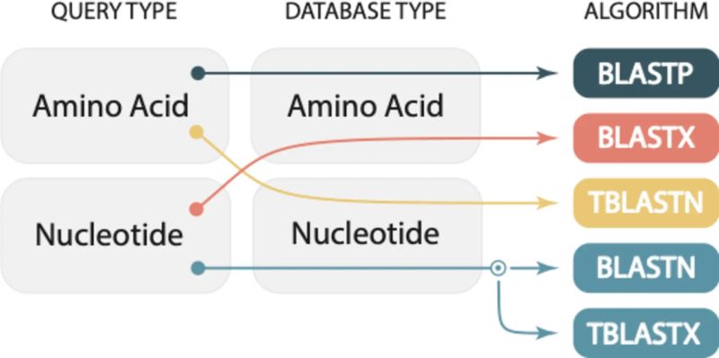 Blast Blastn Csdn - Minimal Wallpapers - Incredible 8K Collection