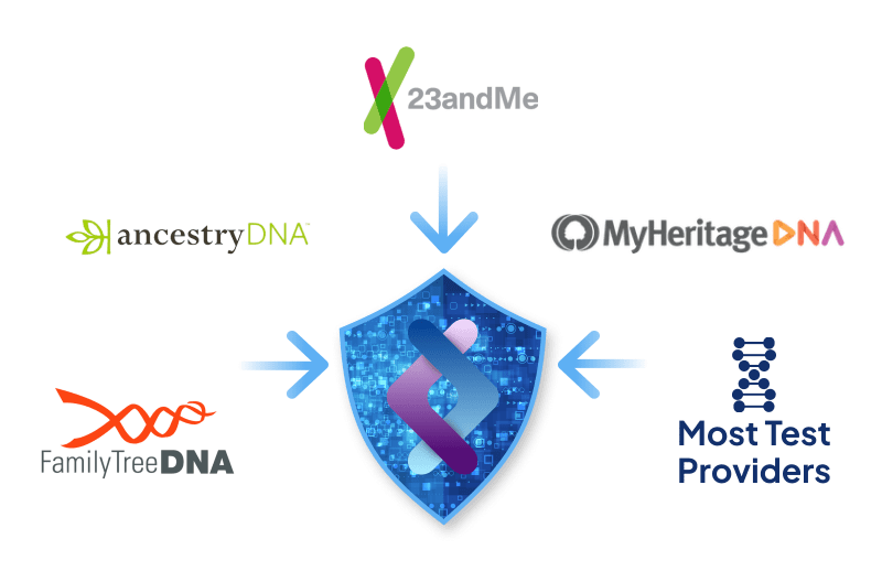 Nutrigenomics Dna Test Report Practitioner Support Call - Premium Minimal Picture Gallery - High Resolution