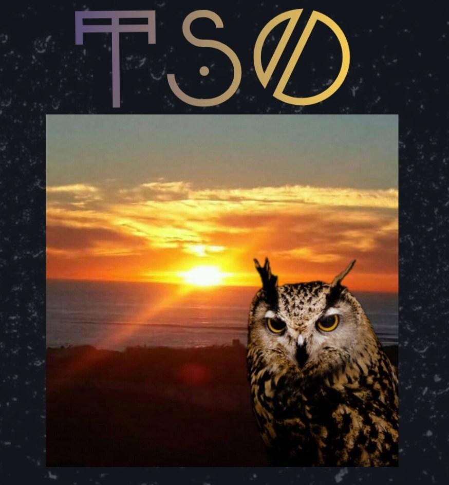 Logo for The Sequestered Owl featuring the letters TSO above a square graphic of a horned owl against a vibrant sunset over the ocean.