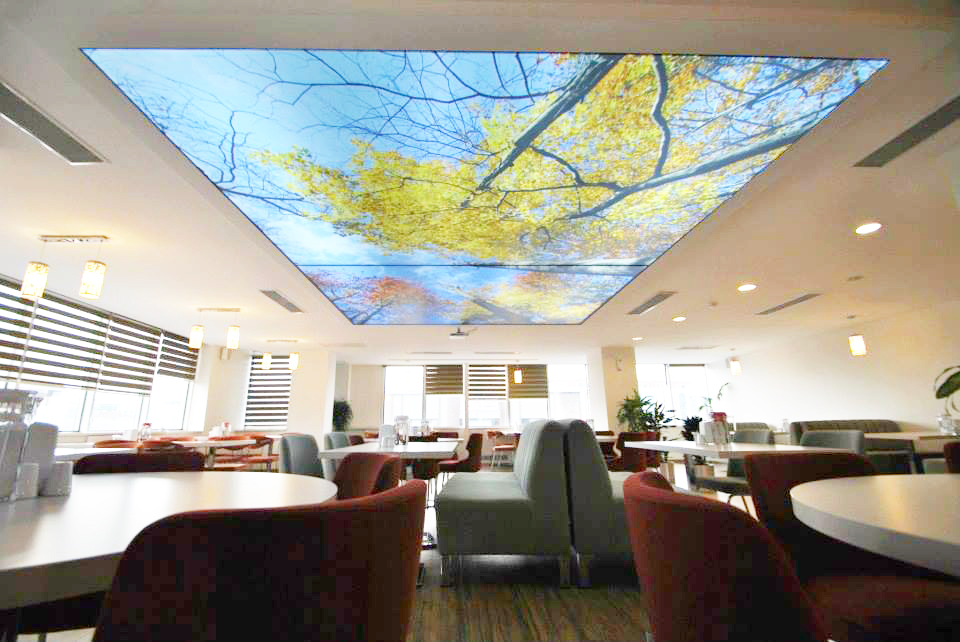 com_print_ceiling (26)