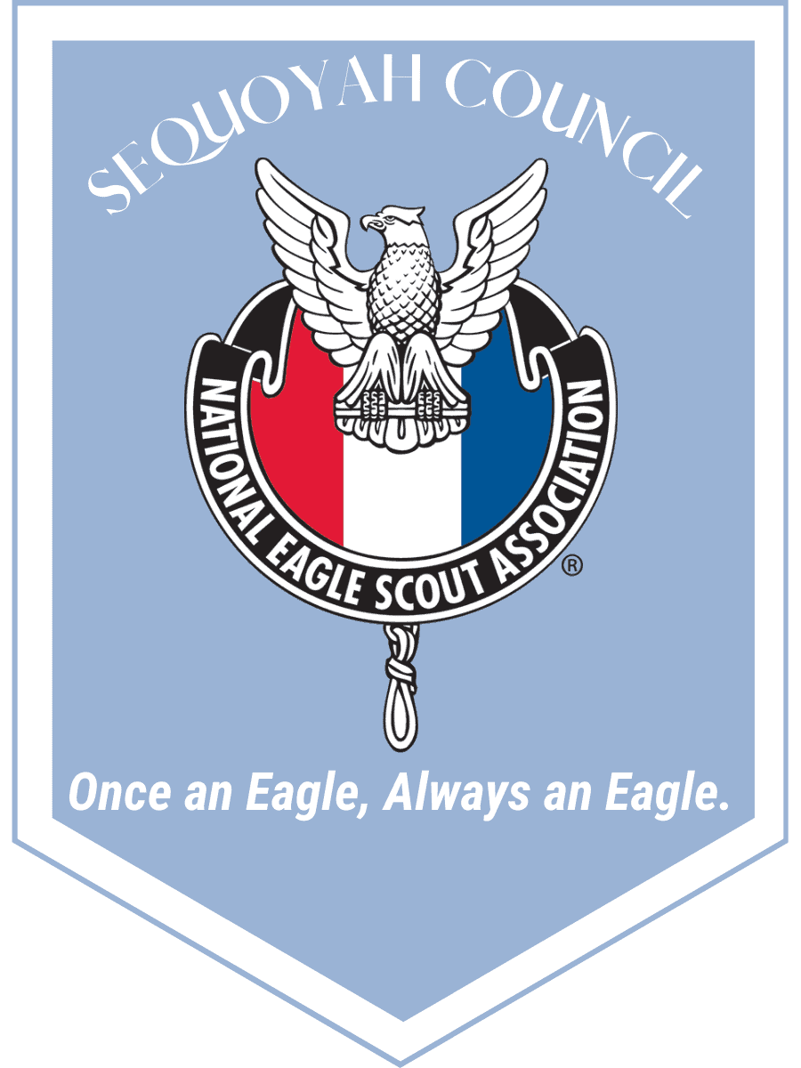 Survey Corps/scout Regiment/scout Legion - Attack On Titan Logo Transparent  PNG - 784x1003 - Free Download on NicePNG, image size:900x1200