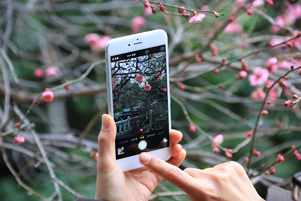 【いまさら聞けないiPhone写真術1】音量ボタンがシャッターに。『iPhone』でデジカメのように写真を撮る方法 サライ.jp｜小学館の