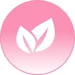 Seraphic Products Solutions - 4K Sunset Photos for Desktop