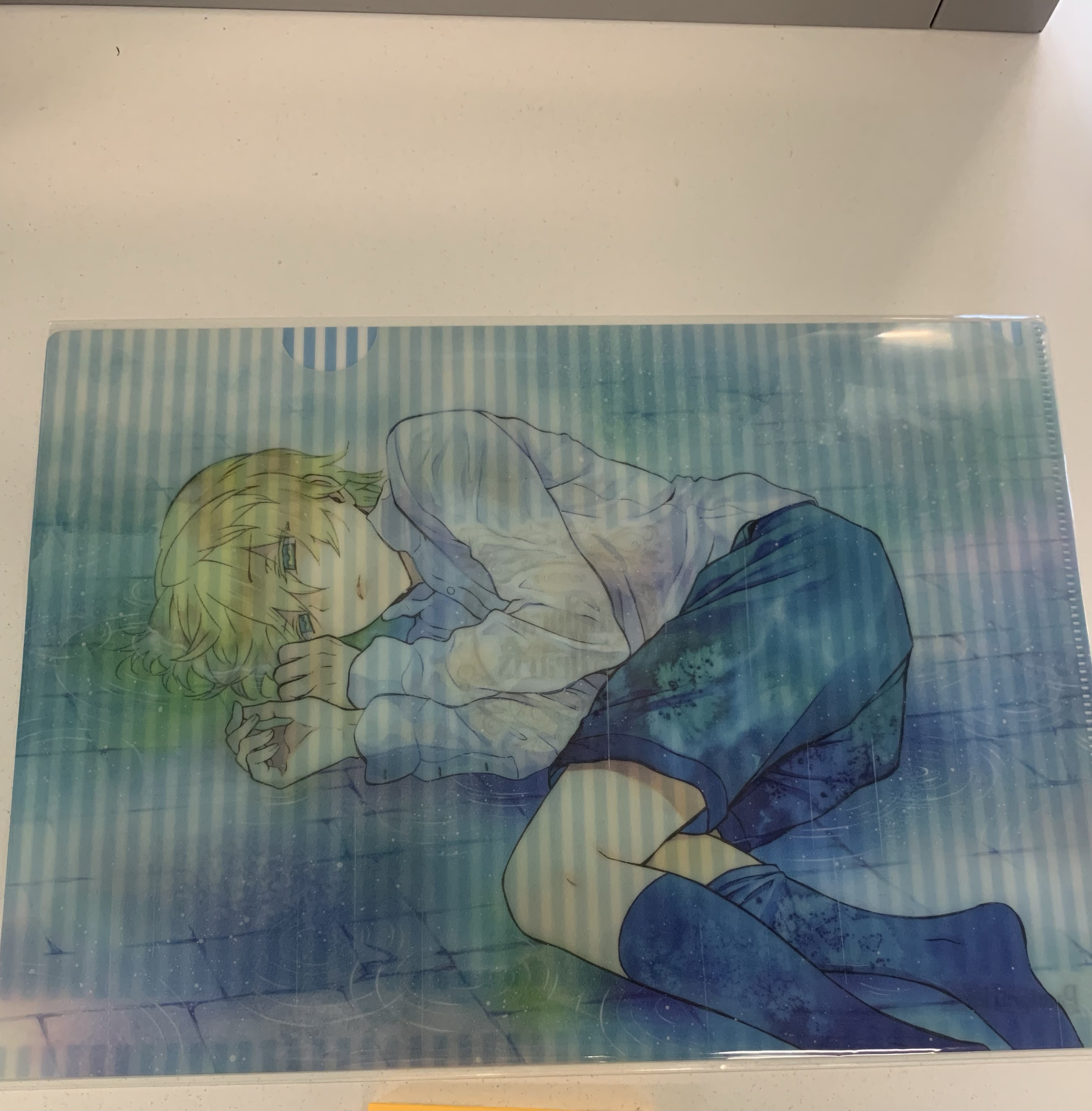 Pandora Hearts by Jun Mochizuki Clear File