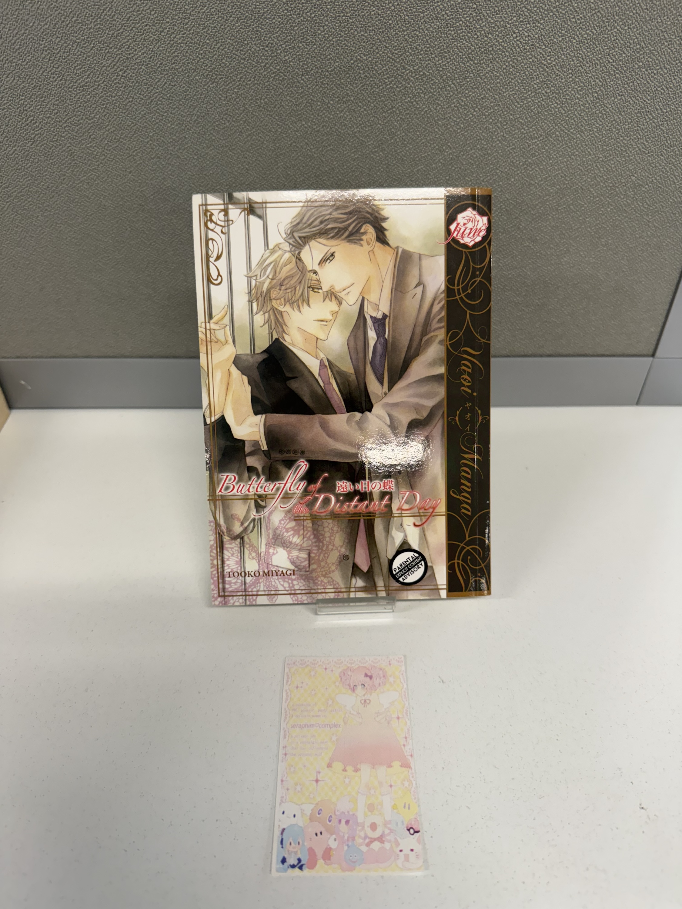 Butterfly of the Distant Day by Tooko Miyagi