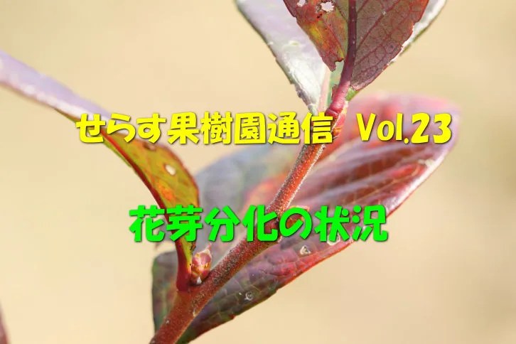 image2.jpg?fit=726,484&ssl=1