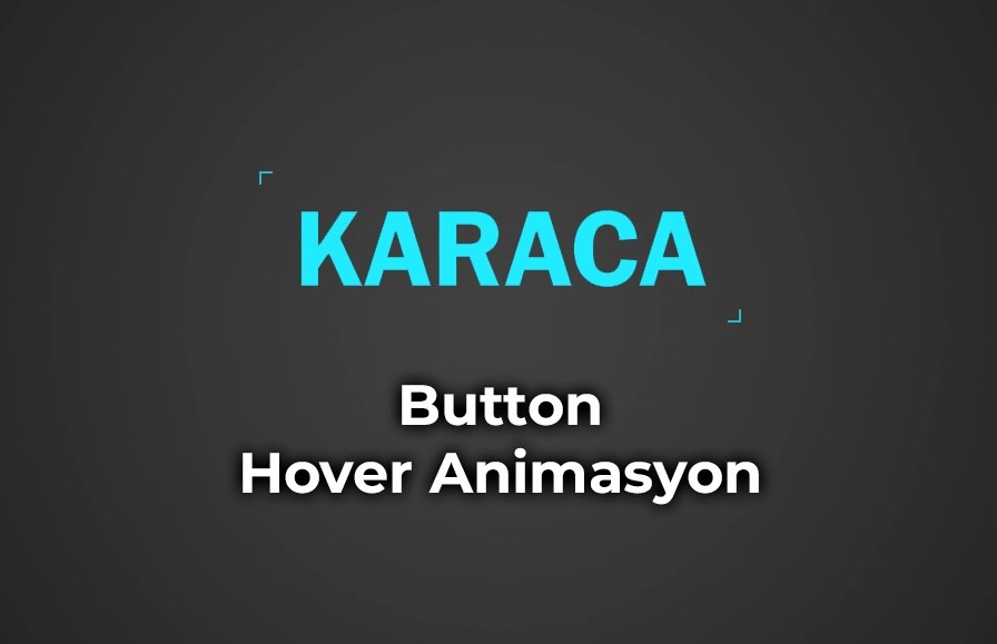 css-button-hover-animasyon-2