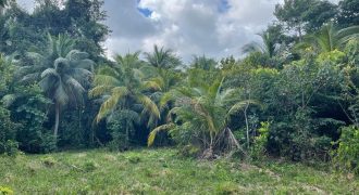 23 Acres Farm Land