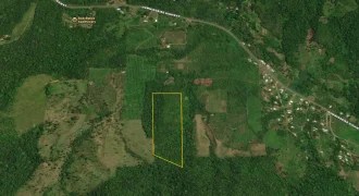 20-Acre of Paradise on Hummingbird Highway