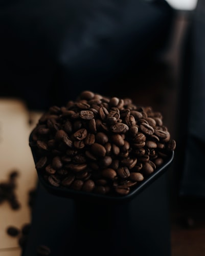 Gourmet Coffee Travel Pouch