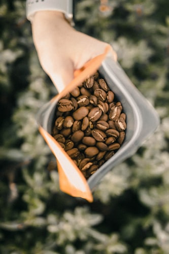 Premium Travel Coffee Pouch