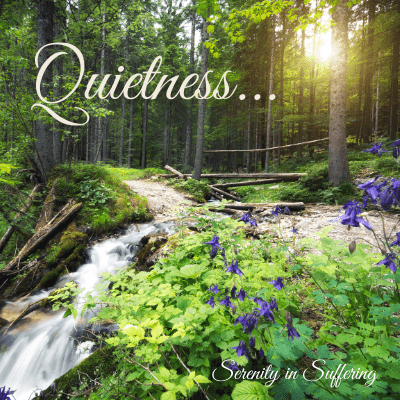 In Quietness and Trust We Find Strength - Serenity in Suffering