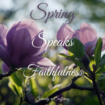 Spring Devotions Spring Speaks of God's Faithfulness - Serenity in Suffering