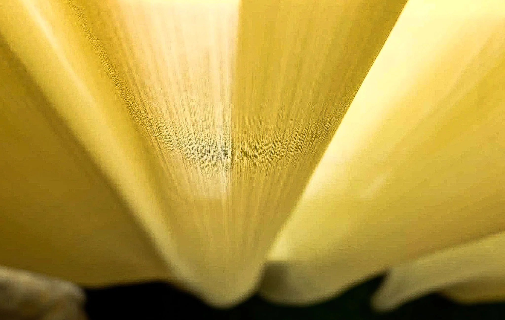 Craftsmanship